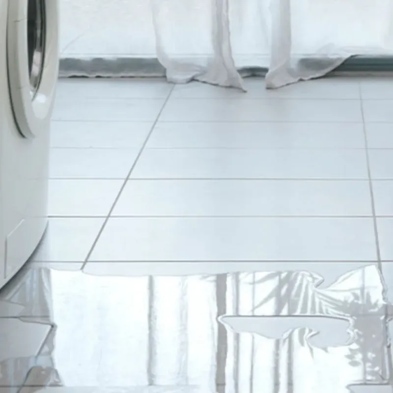 Appliance Leak Cleanup in Payne, OH