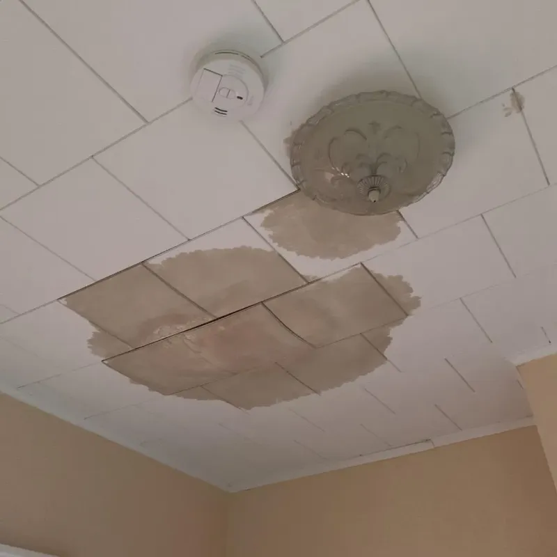 Ceiling Water Damage Repair in Payne, OH