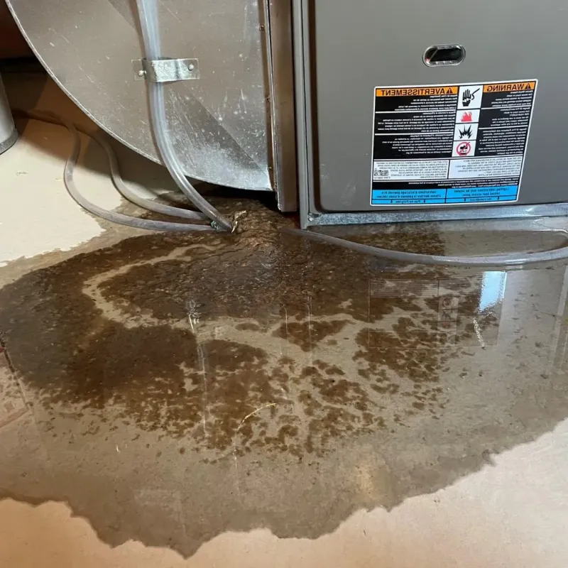 Pipe Burst and Leak Restoration in Payne, OH