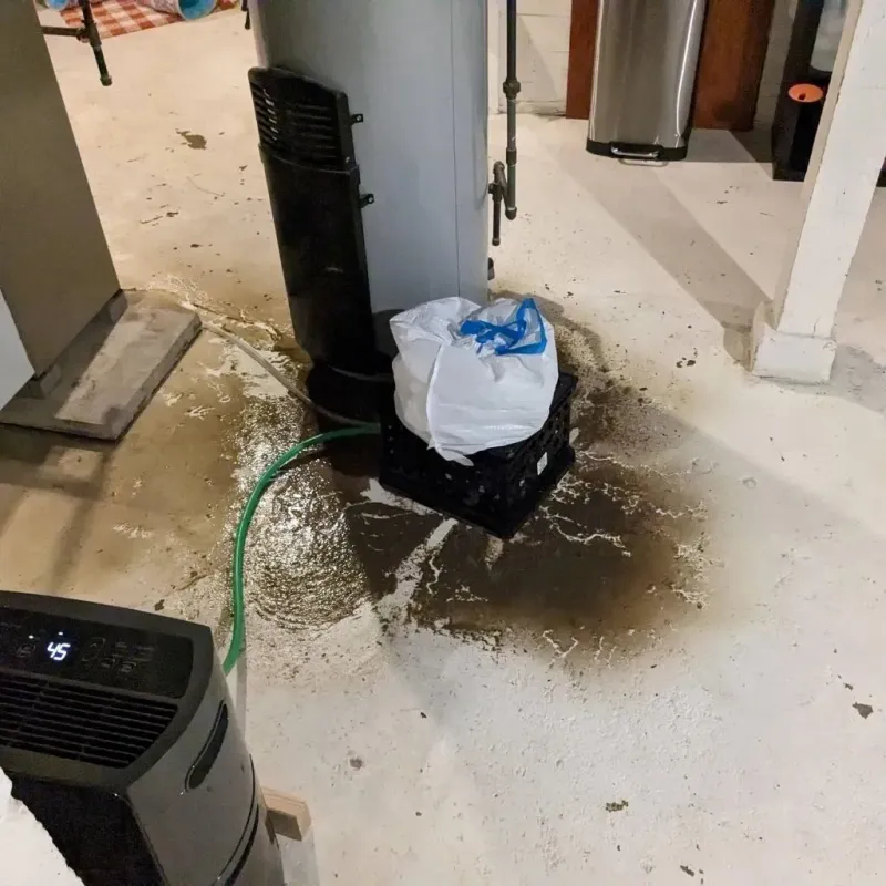 Sewage Backup Cleanup Service in Payne, OH